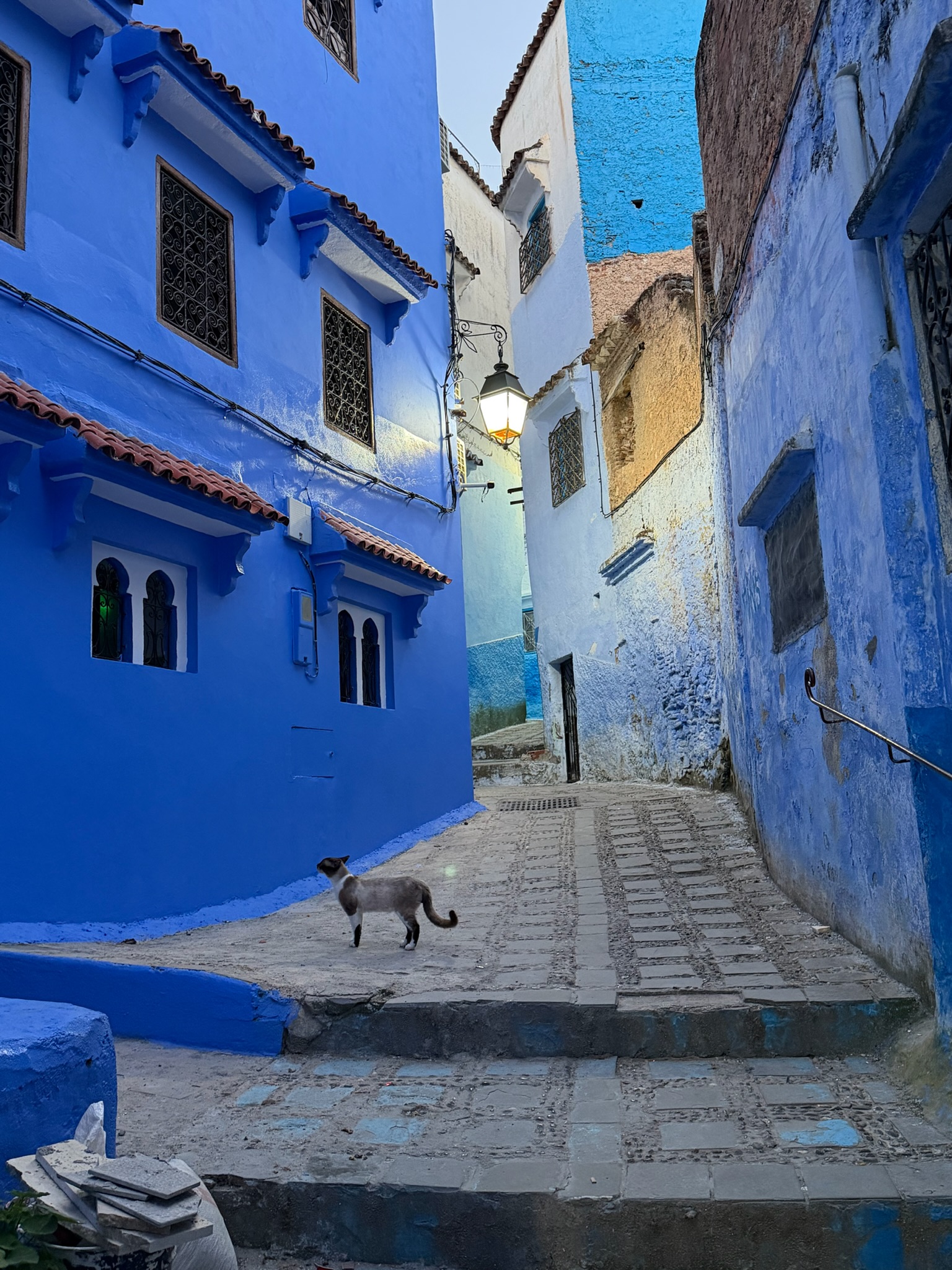 Blue Alleyway