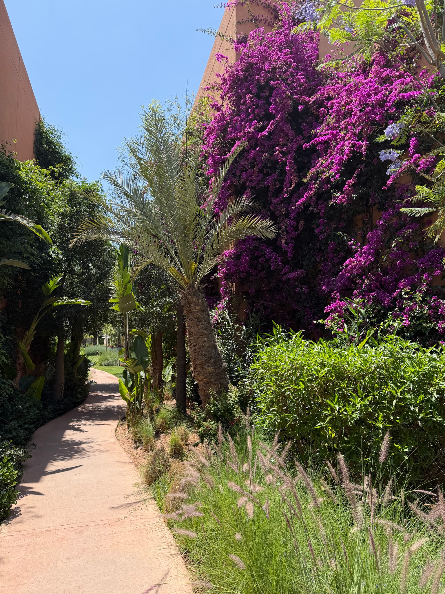 Park Hyatt Garden